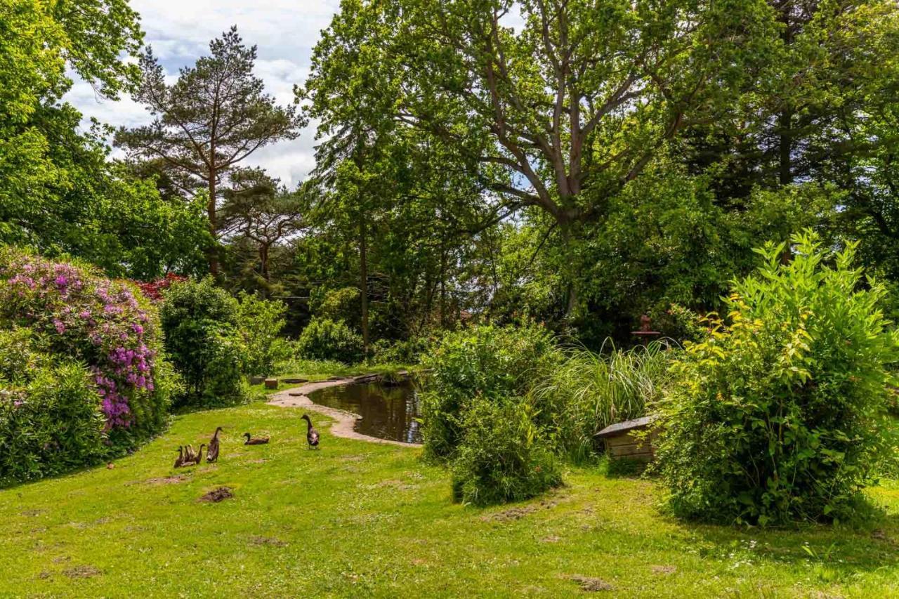 Host & Stay - The Eiders Aylmerton Exteriör bild